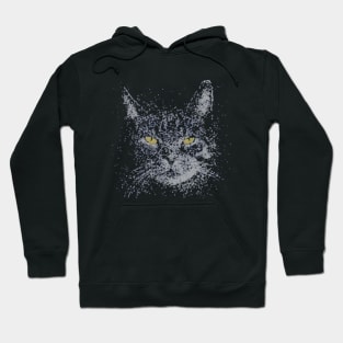 Fiber Optic Cat Hoodie